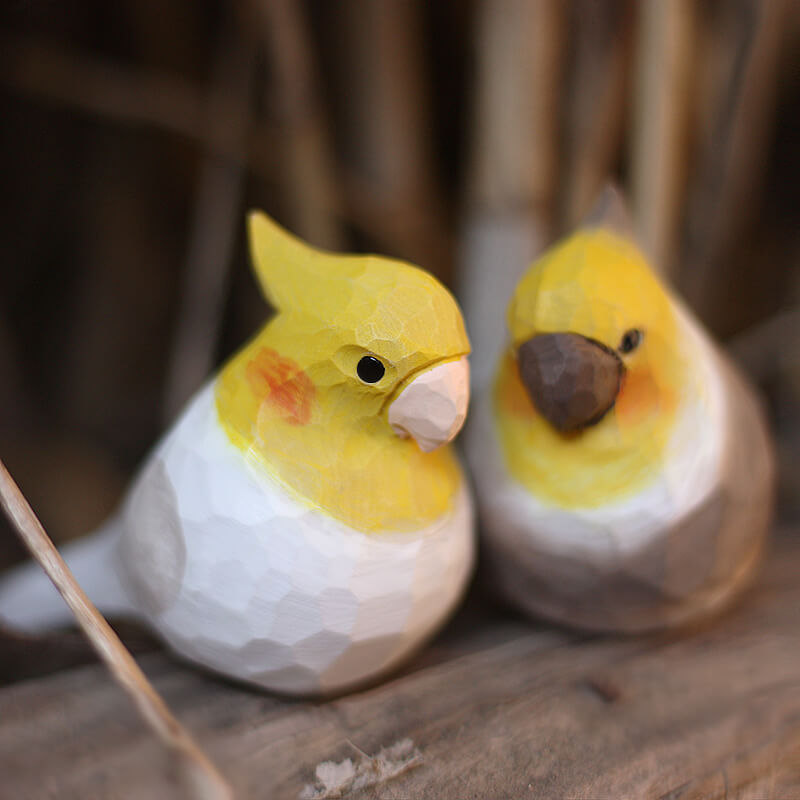 Cockatiel Bird