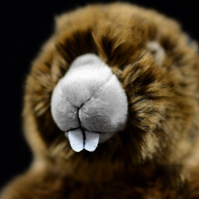 Realistic Groundhog Stuffed Animal Soft Plush Lifelike Toys