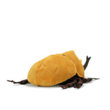 Realistic Elephant Beetle Stuffed Animal Plush Toy