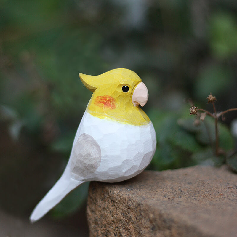 Cockatiel Bird
