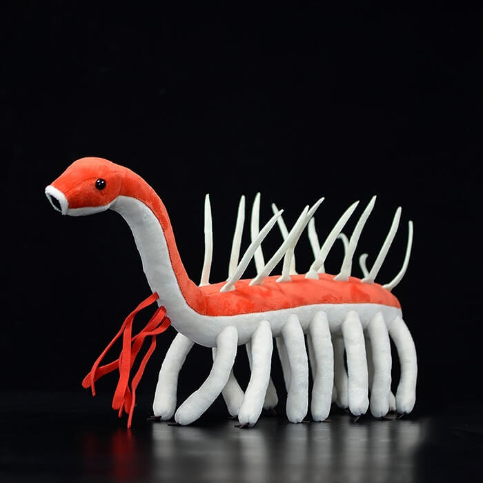 Realistic Hallucigenia Stuffed Animal Plush Toy