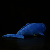 Realistic Sperm Whale Stuffed Animal Plush Toy