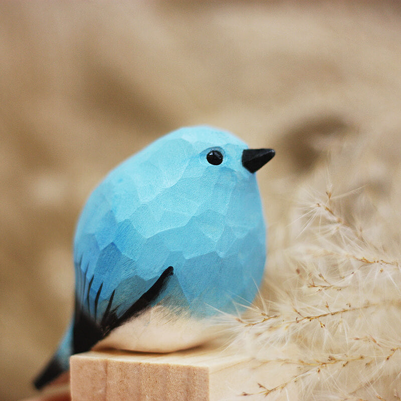 Mountain Bluebird