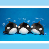 Chubby Orcinus Orca Plush Stuffed Toys Killer Whale Plushie Pillow