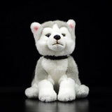 Realistic Husky Cub Dog Stuffed Animal Plush Toy