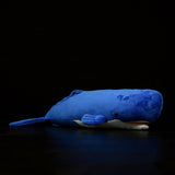 Realistic Sperm Whale Stuffed Animal Plush Toy