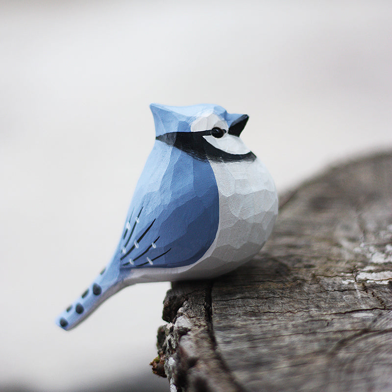 Blue Jay