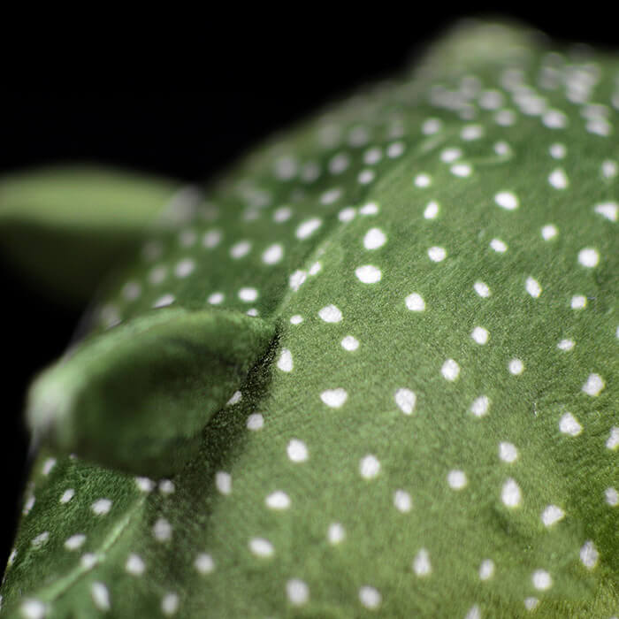Realistic Green Spotted Puffer Fish Stuffed Animal Plush Toy