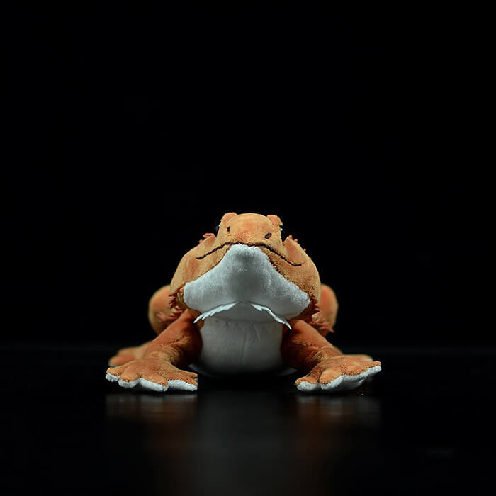 Realistic Central Bearded Dragon Stuffed Animal Plush Toy