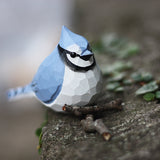 Blue Jay