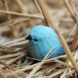 Mountain Bluebird