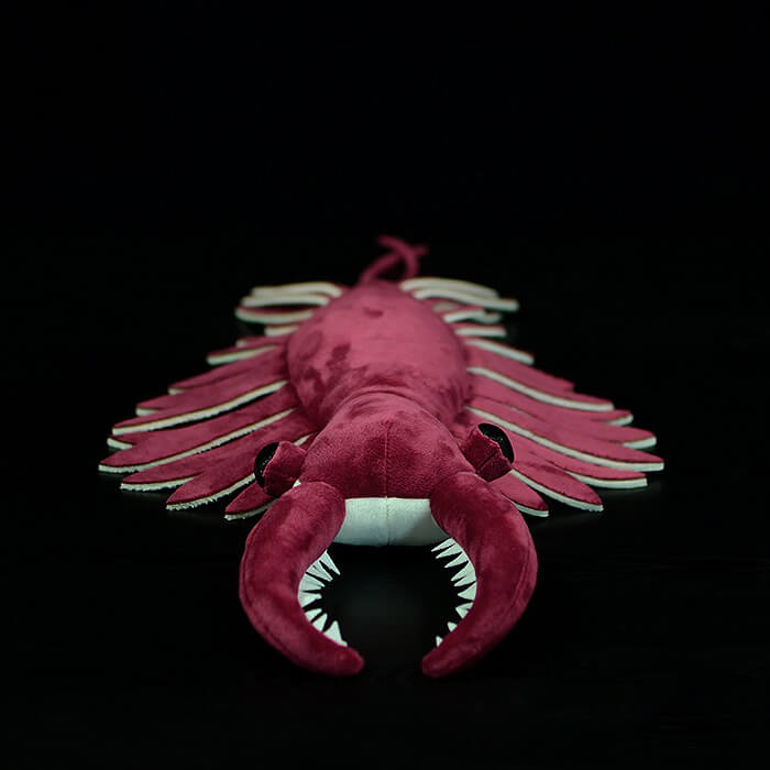 Realistic Anomalocaris Stuffed Animal Plush Toy