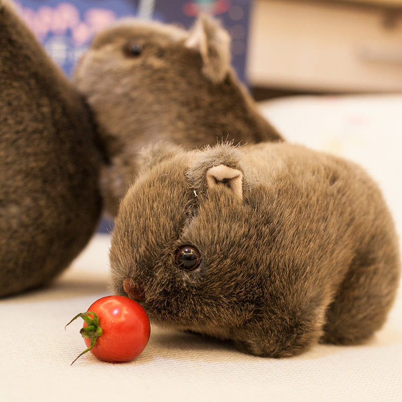 Cute Wombat Stuffed Animal Australia Plush Toys