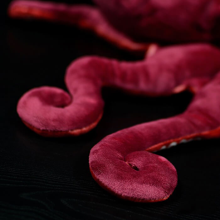 Realistic Octopus Stuffed Animal Plush Toy
