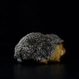 Realistic Hedgehog Stuffed Animal Plush Toy