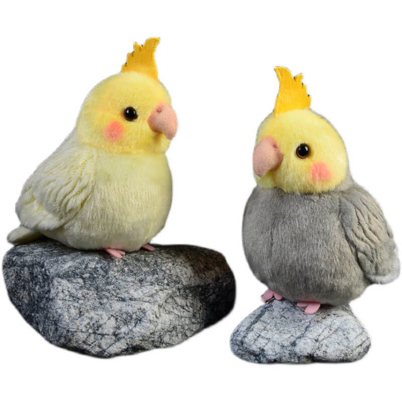 Realistic Chubby Cockatiel Stuffed Animal Plush Toy