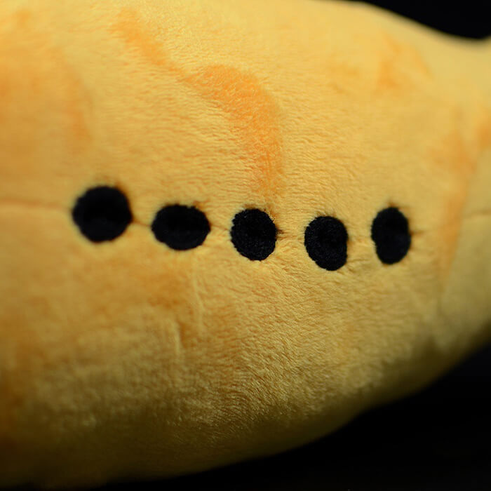 Realistic Tully Monster Stuffed Animal Plush Toy