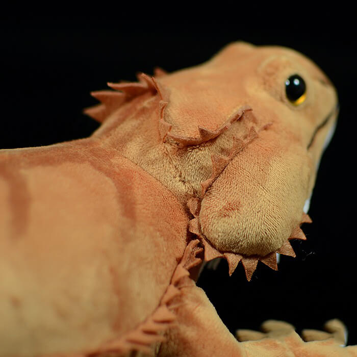 Realistic Central Bearded Dragon Stuffed Animal Plush Toy