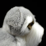 Realistic Cesky Terrier Dog Stuffed Animal Plush Toy