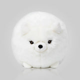 Chubby Arctic Fox Stuffed Animal Plush