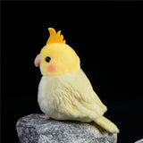 Realistic Chubby Cockatiel Stuffed Animal Plush Toy
