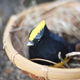 Handmade Carved Wooden Sultan Tit Bird Figurine