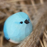 Mountain Bluebird