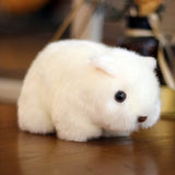 Cute Wombat Stuffed Animal Plushie, Australia Plush Toys