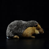 Realistic Hedgehog Stuffed Animal Plush Toy