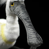 Realistic Eurasian Spoonbill Stuffed Animal Plush Toy
