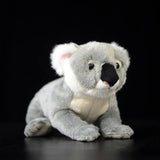 Koala Plush Stuffed Animal, Soft Lifelike Plushies