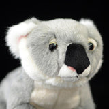 Koala Plush Stuffed Animal, Soft Lifelike Plushies