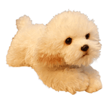 Cute Maltese Dog Stuffed Animal Plush Toy