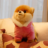 Realistic Pomeranian Dog in Clothes Stuffed Animal Plushies