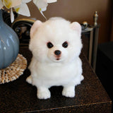 Realistic Pomeranian Dog Stuffed Animal Plush Toy