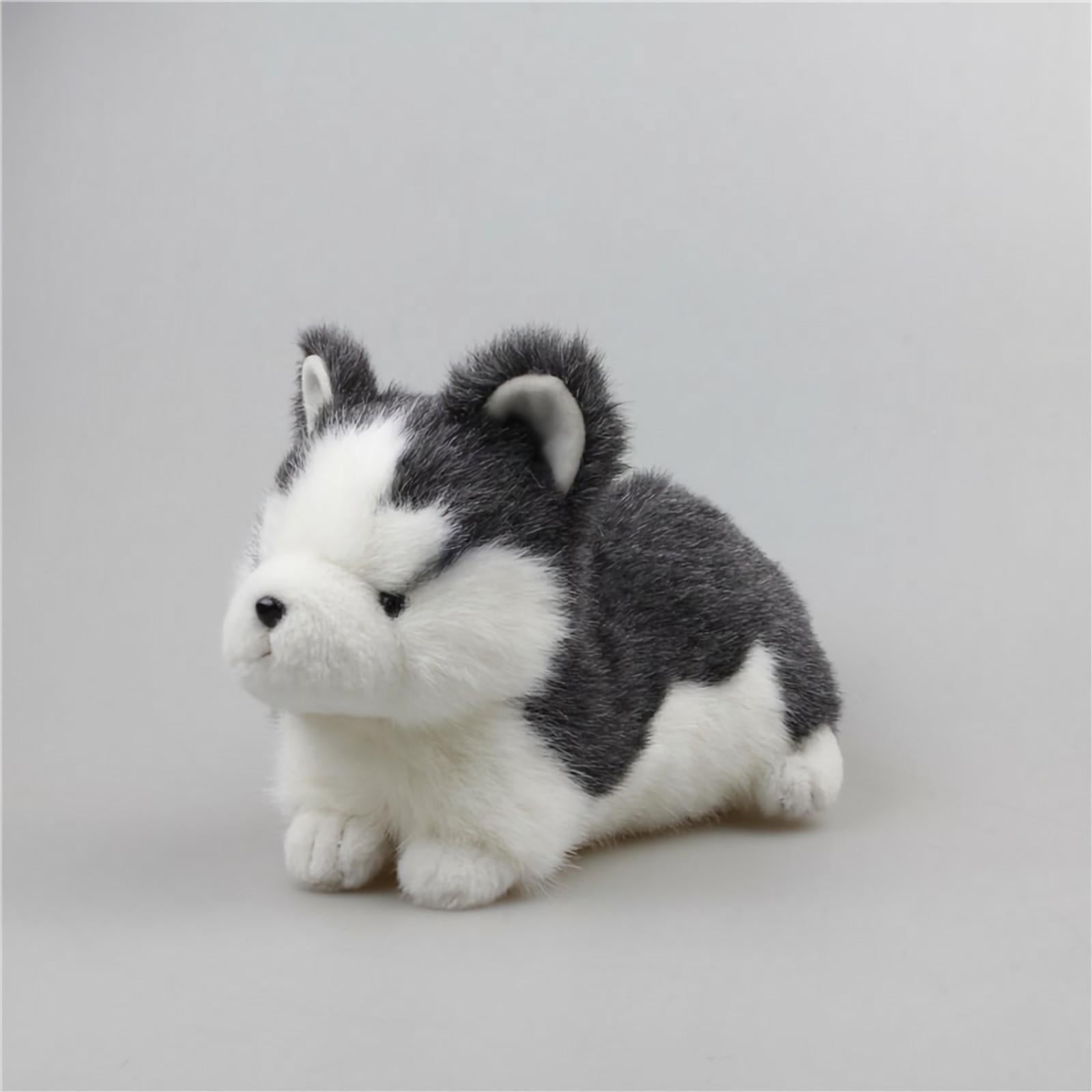 Cute Husky Dog Stuffed Animal Plush Toys