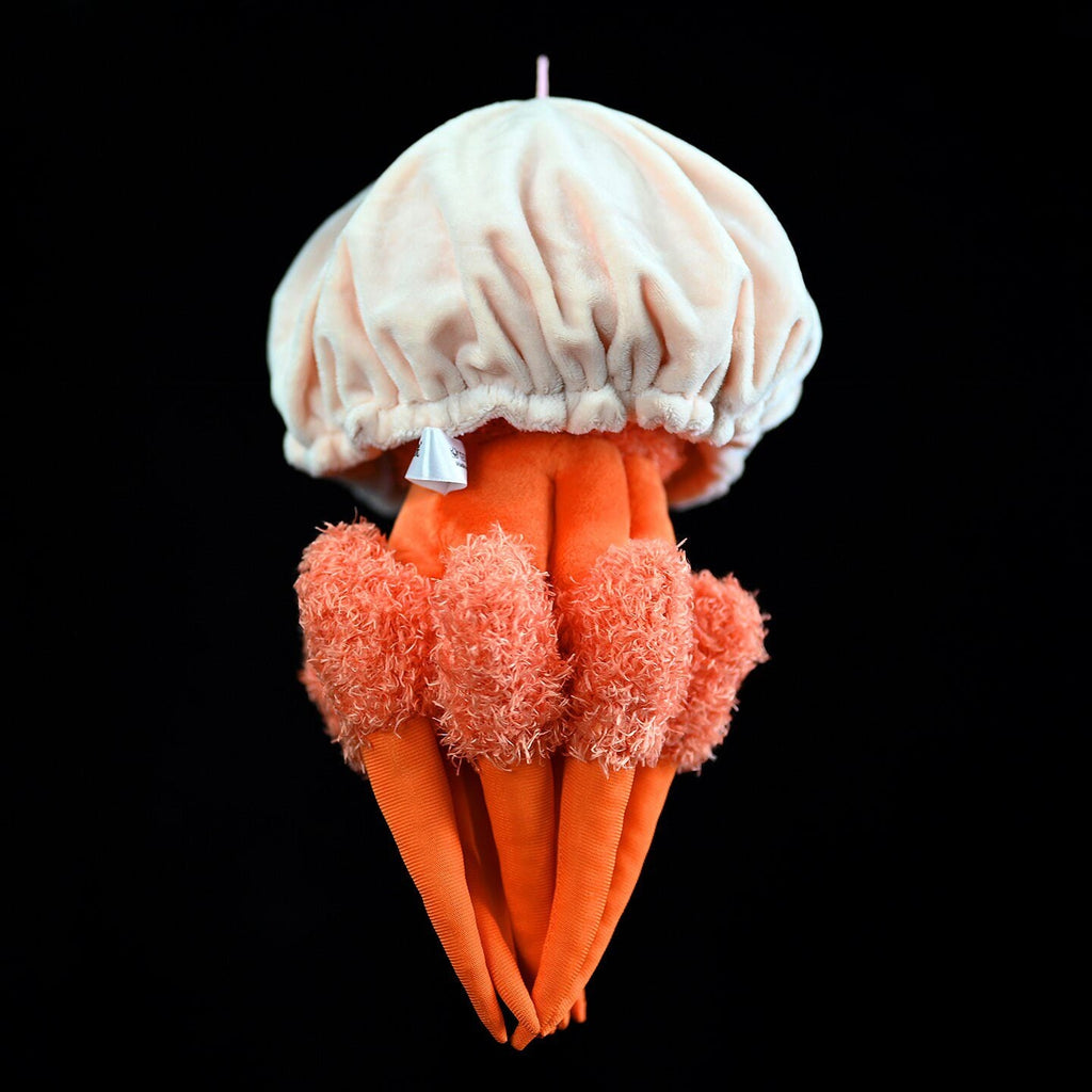 The Mysterious Crimson Jellyfish: 5 Fascinating Secrets of Deep-Sea Wonders