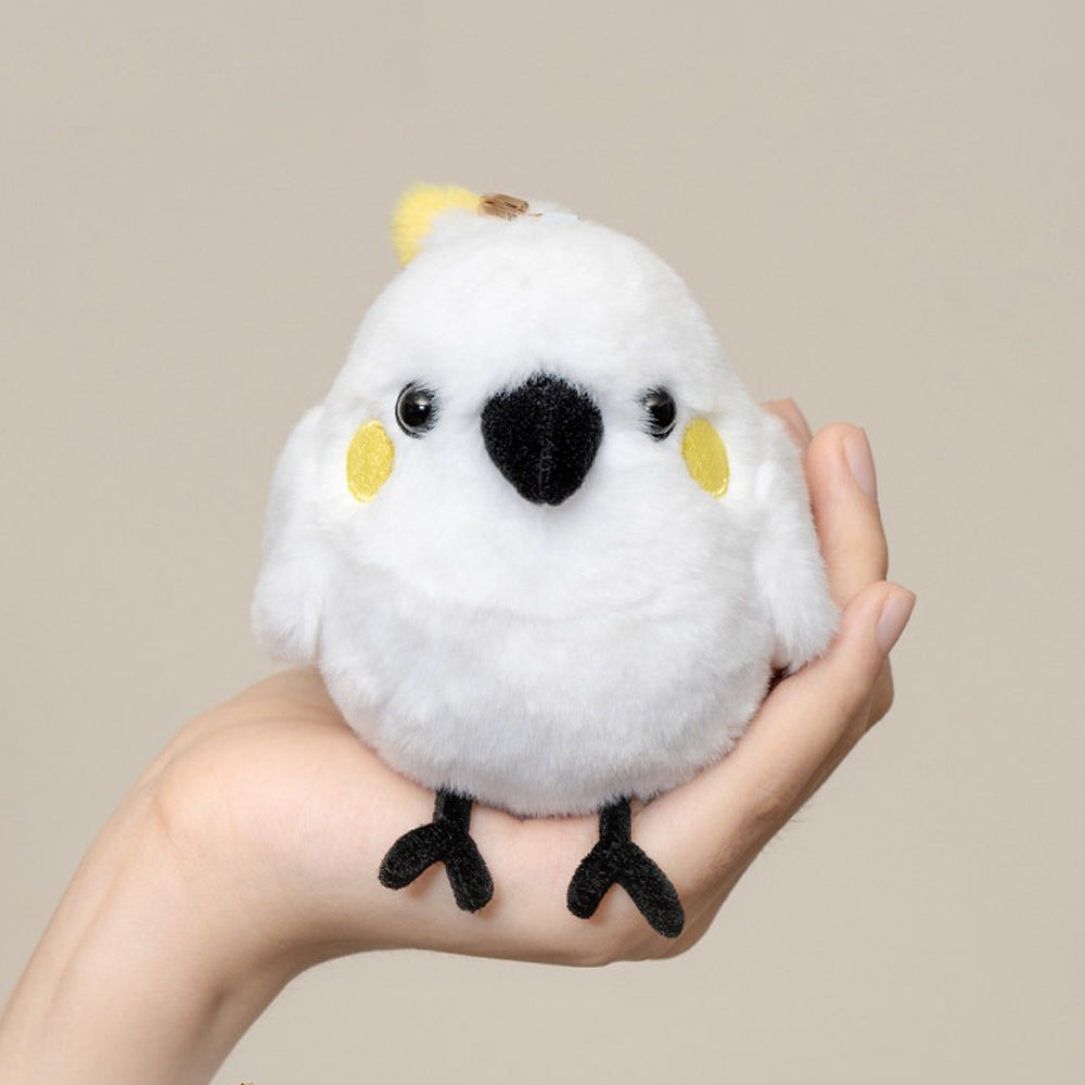 5 Fascinating Facts About Sulphur-Crested Cockatoos (And Why Everyone is Obsessed with Them!)
