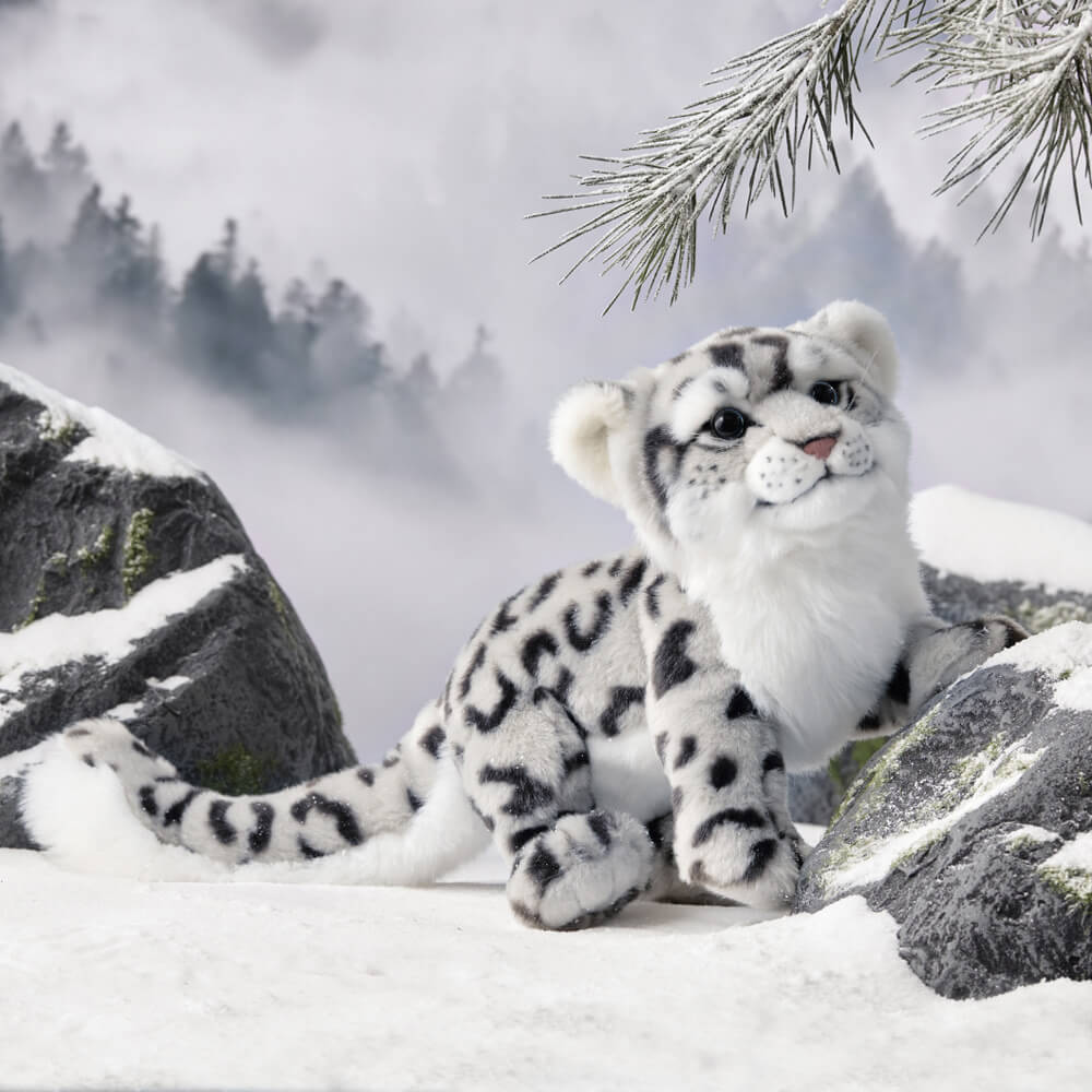 Can You Keep a Snow Leopard as a Pet? Facts of Snow Leopard