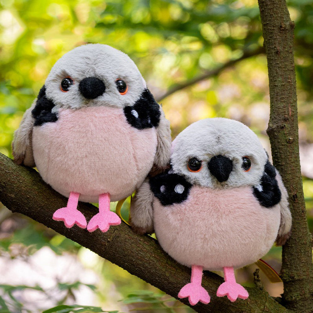 The Ultimate Guide to the Spotted Dove: Fun Facts & Why Everyone Loves These Chubby Birds