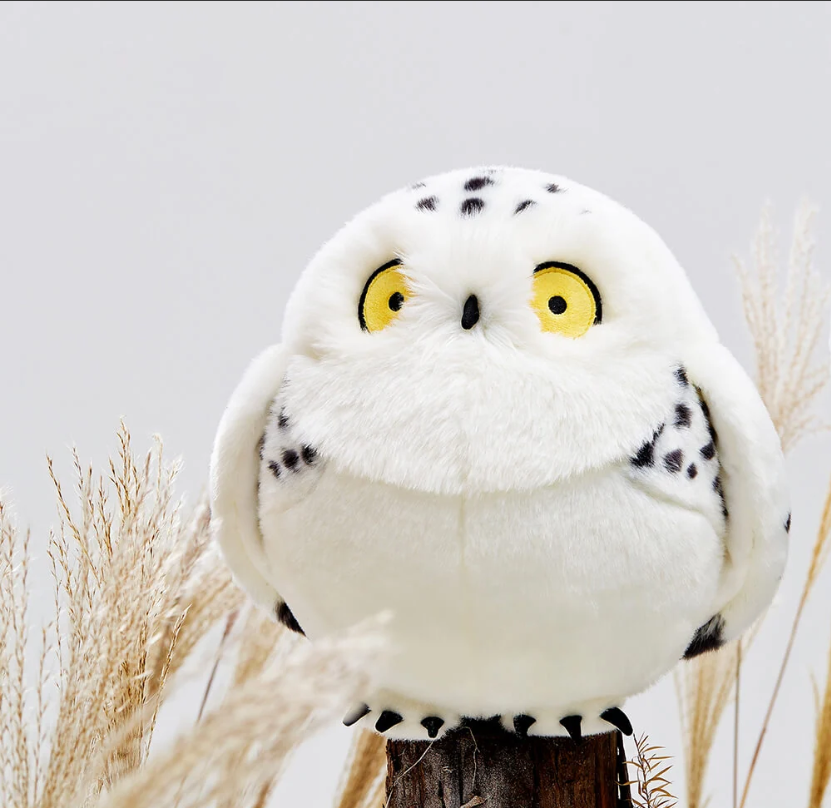 The Secrets of the Snowy Owl: Nature’s Fluffiest Arctic Predators