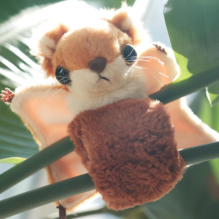 These Tiny Forest Gliders Are Taking Over the Internet (And Here’s Why)