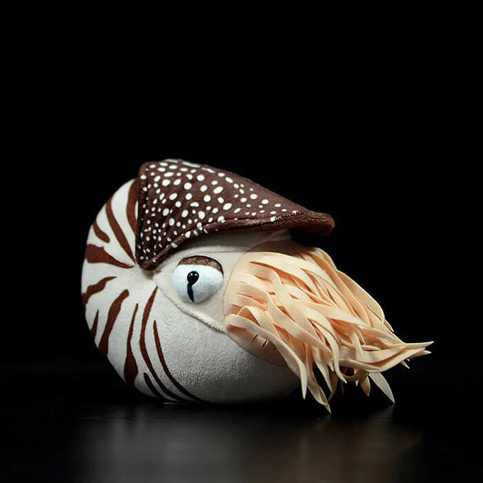 What is nautilus? Would it be possible to have nautilus as pets?