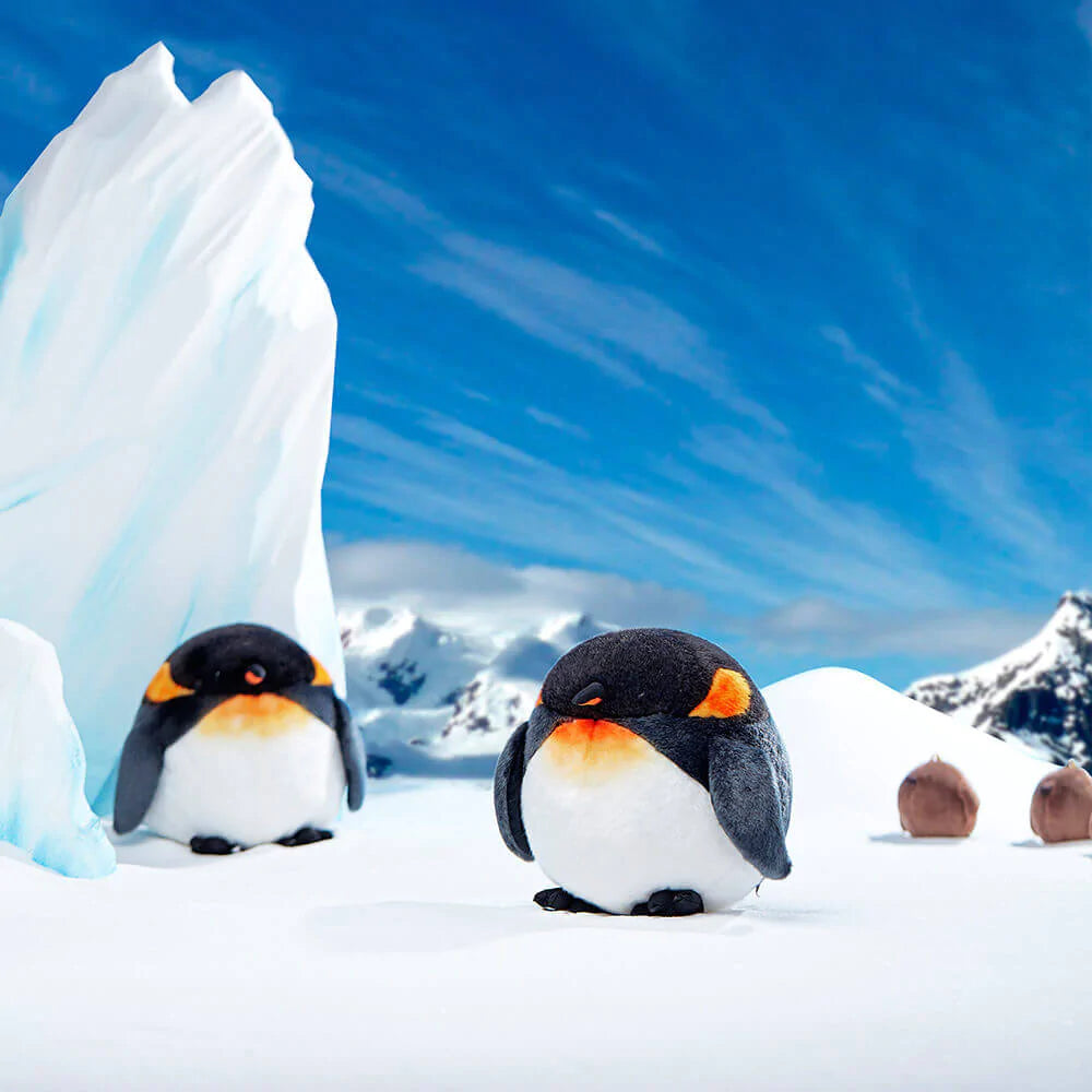 King Penguin Facts - Can You Keep a Penguin as a Pet?