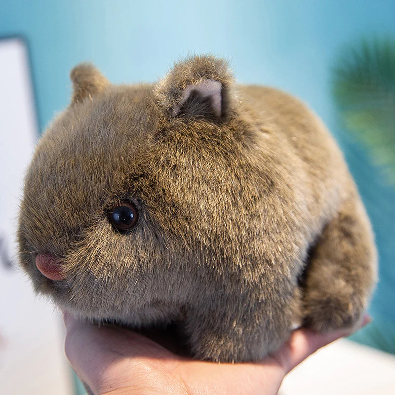 Is it legal to own a wombat as a pet? Do wombats make good pets?