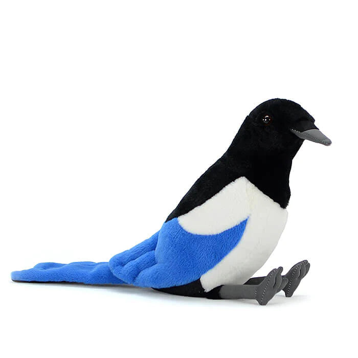 What is Eurasian Magpie? Something about Eurasian Magpie
