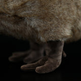 Realistic Kiwi Bird Stuffed Animal Plush Toy, Kiwi Plushies