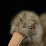 Realistic Kiwi Bird Stuffed Animal Plush Toy, Kiwi Plushies