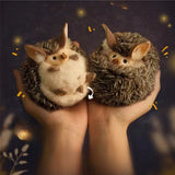 Adorable Long-eared Hedgehog Stuffed Animal Plush Toy, Hedgehog Plushies