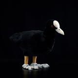 Realistic Eurasian Coot Stuffed Animal Plush Toy, Eurasian Coot Plushies